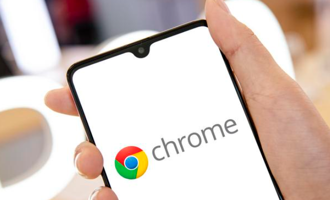 Google Chrome浏览器下载安装包安全风险防范