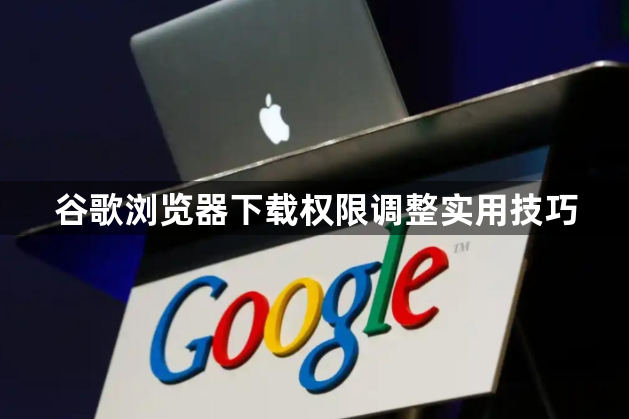 谷歌浏览器下载权限调整实用技巧1