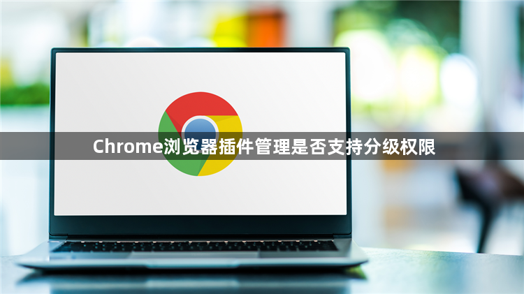 Chrome浏览器插件管理是否支持分级权限1
