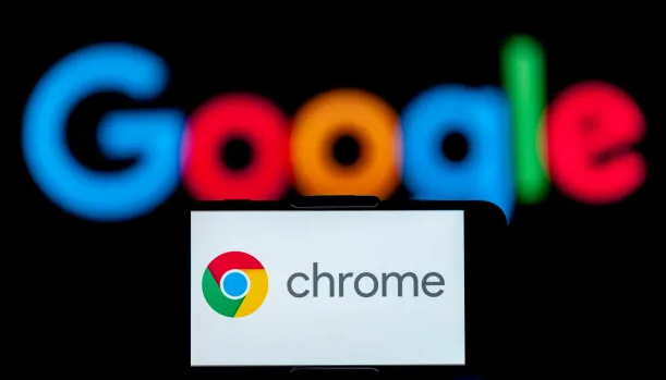Google Chrome下载包备份策略