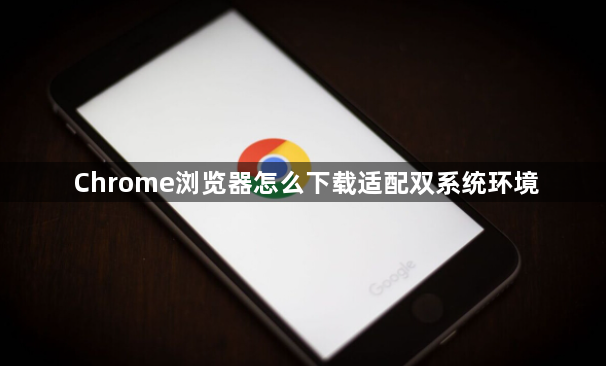 Chrome浏览器怎么下载适配双系统环境1