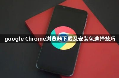 google Chrome浏览器下载及安装包选择技巧1