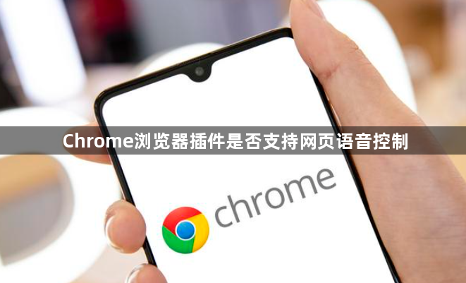 Chrome浏览器插件是否支持网页语音控制1