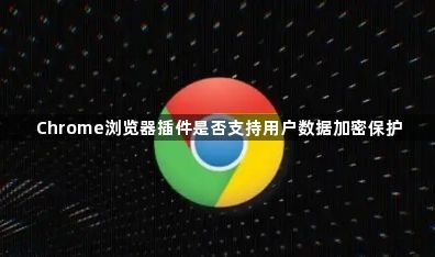 Chrome浏览器插件是否支持用户数据加密保护1