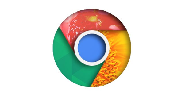 google浏览器插件如何安全使用