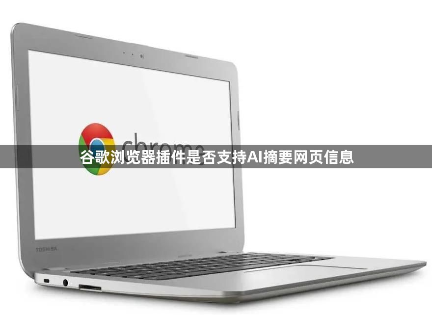 谷歌浏览器插件是否支持AI摘要网页信息1