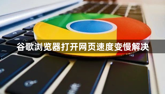 谷歌浏览器打开网页速度变慢解决1