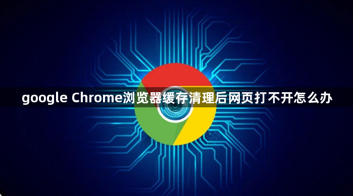 google Chrome浏览器缓存清理后网页打不开怎么办1