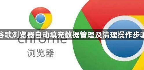 谷歌浏览器自动填充数据管理及清理操作步骤1