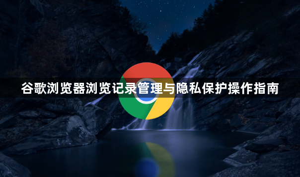 谷歌浏览器浏览记录管理与隐私保护操作指南1
