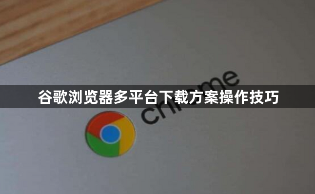 谷歌浏览器多平台下载方案操作技巧1