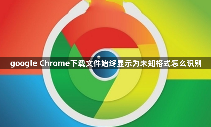 google Chrome下载文件始终显示为未知格式怎么识别1