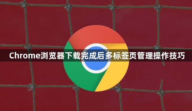 Chrome浏览器下载完成后多标签页管理操作技巧1