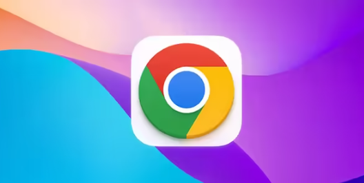 Chrome浏览器下载新版后旧版如何保留