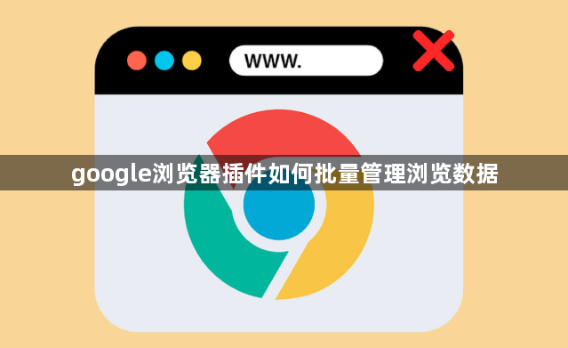 google浏览器插件如何批量管理浏览数据1