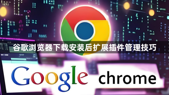 谷歌浏览器下载安装后扩展插件管理技巧1