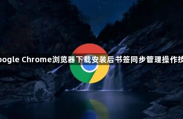 google Chrome浏览器下载安装后书签同步管理操作技巧1