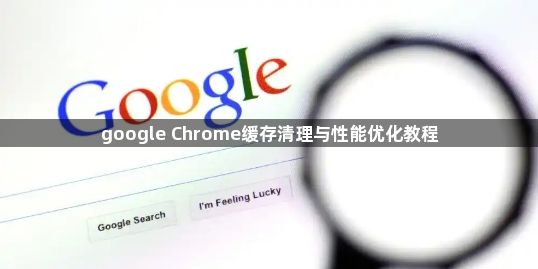 google Chrome缓存清理与性能优化教程1