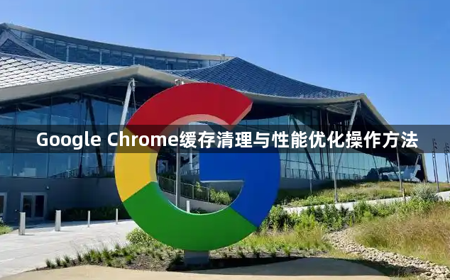 Google Chrome缓存清理与性能优化操作方法1