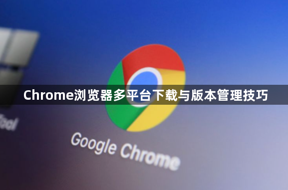 Chrome浏览器多平台下载与版本管理技巧1